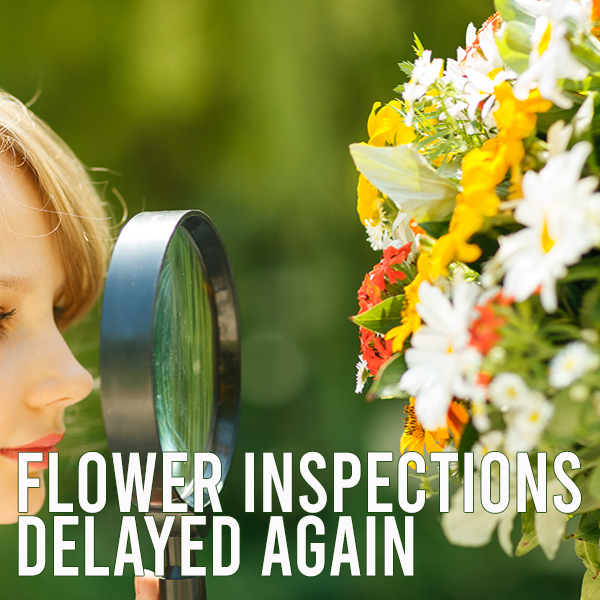 flower inspections delayed hero