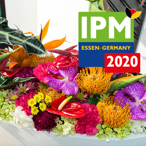 IPM Essen 2021 cancelled 