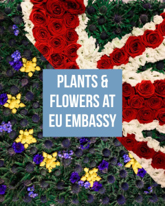 First Plant & Flower Event held at EU Embassy