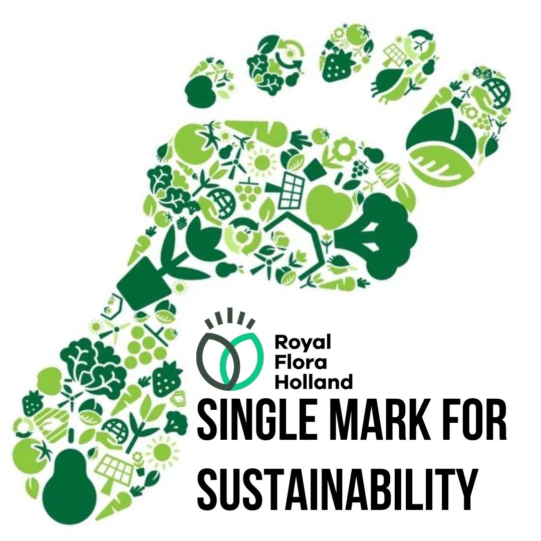 Sustainability labels simplified with FloriPEFCR