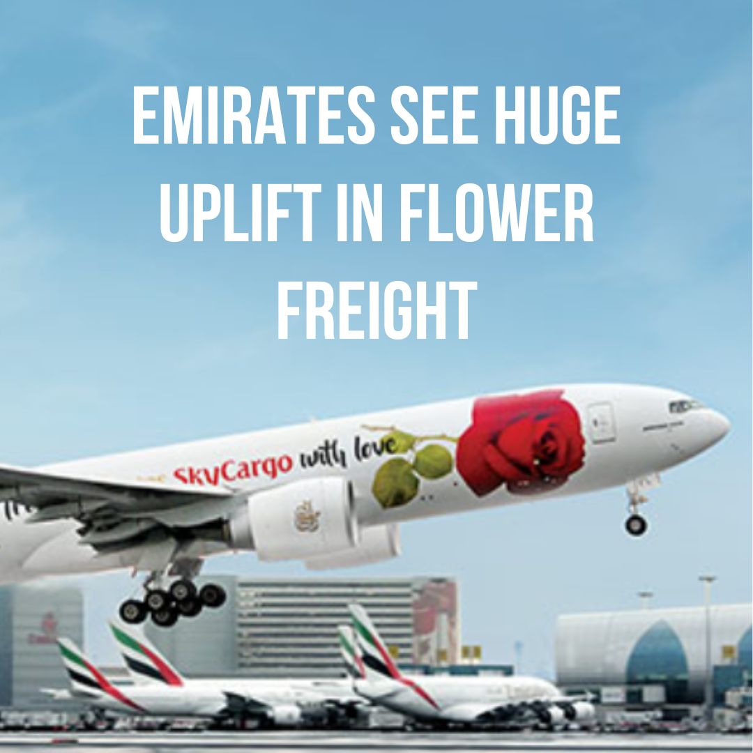 Emirates SkyCargo up 20% for 2023 wedding season