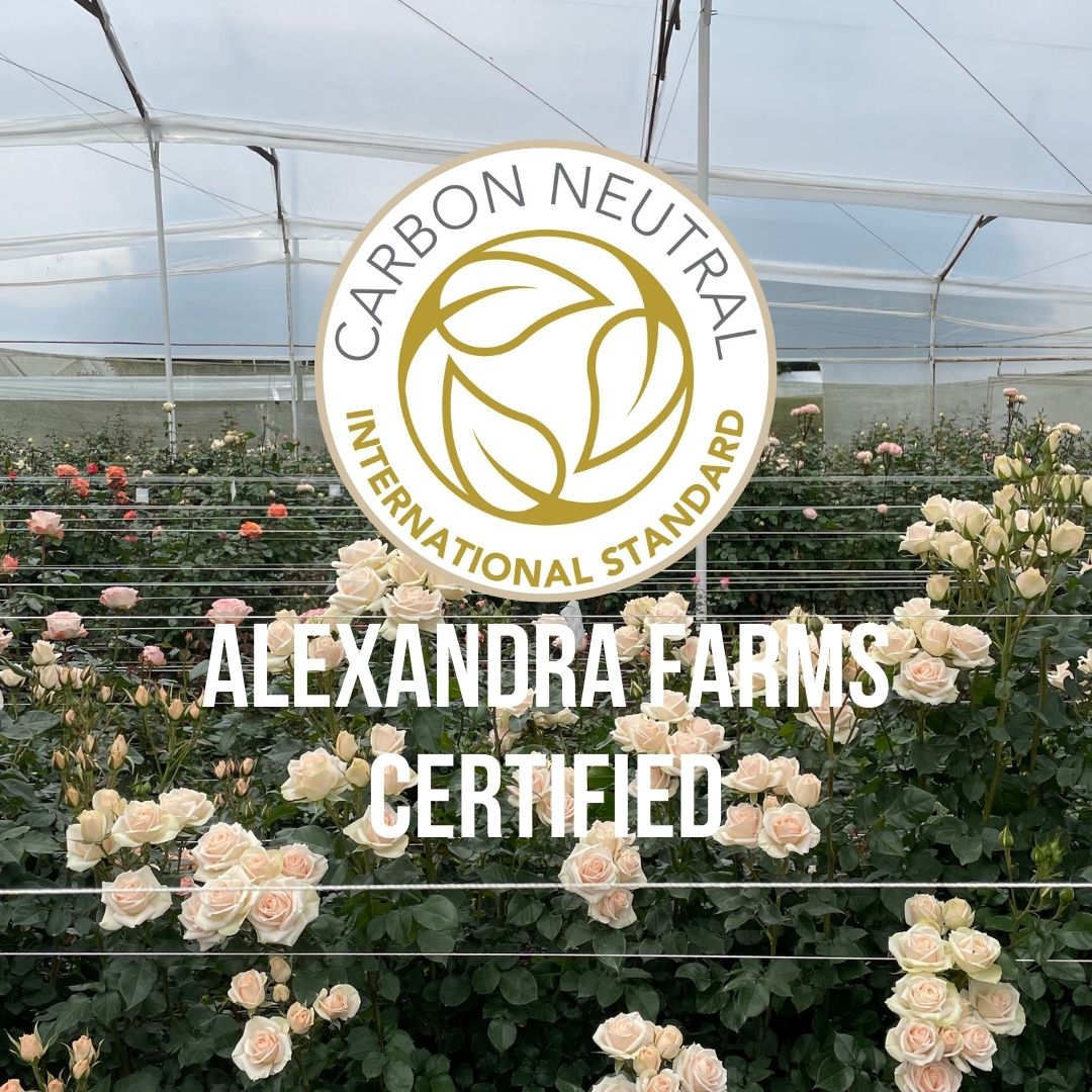 Alexandra Farms gains CNC Certification