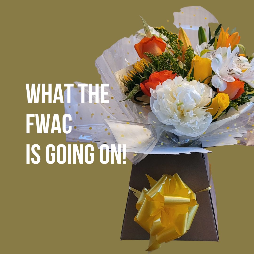 What the FWAC is going on out there?!