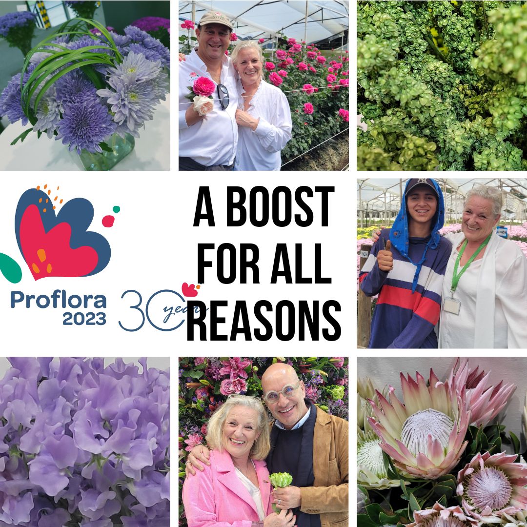 Proflora … back with an essence of confidence