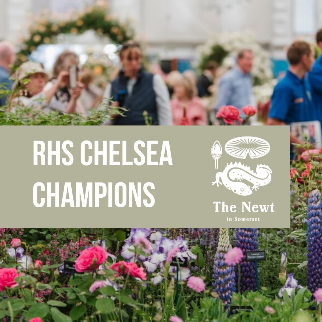 RHS Chelsea Flower Show 22 winners