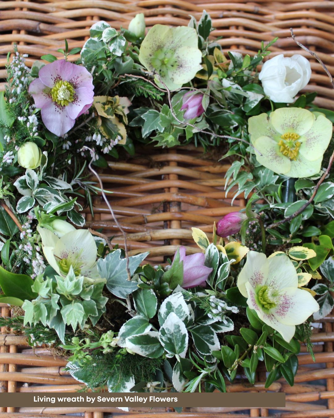 Farewell Flowers 4