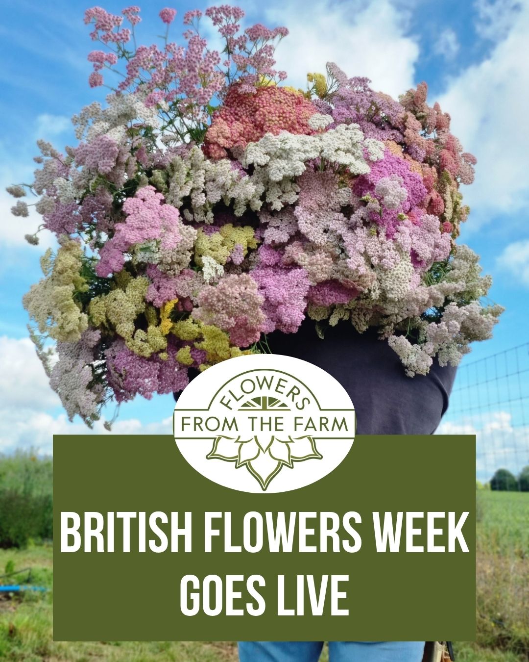 2025 British Flowers Week kicks off!