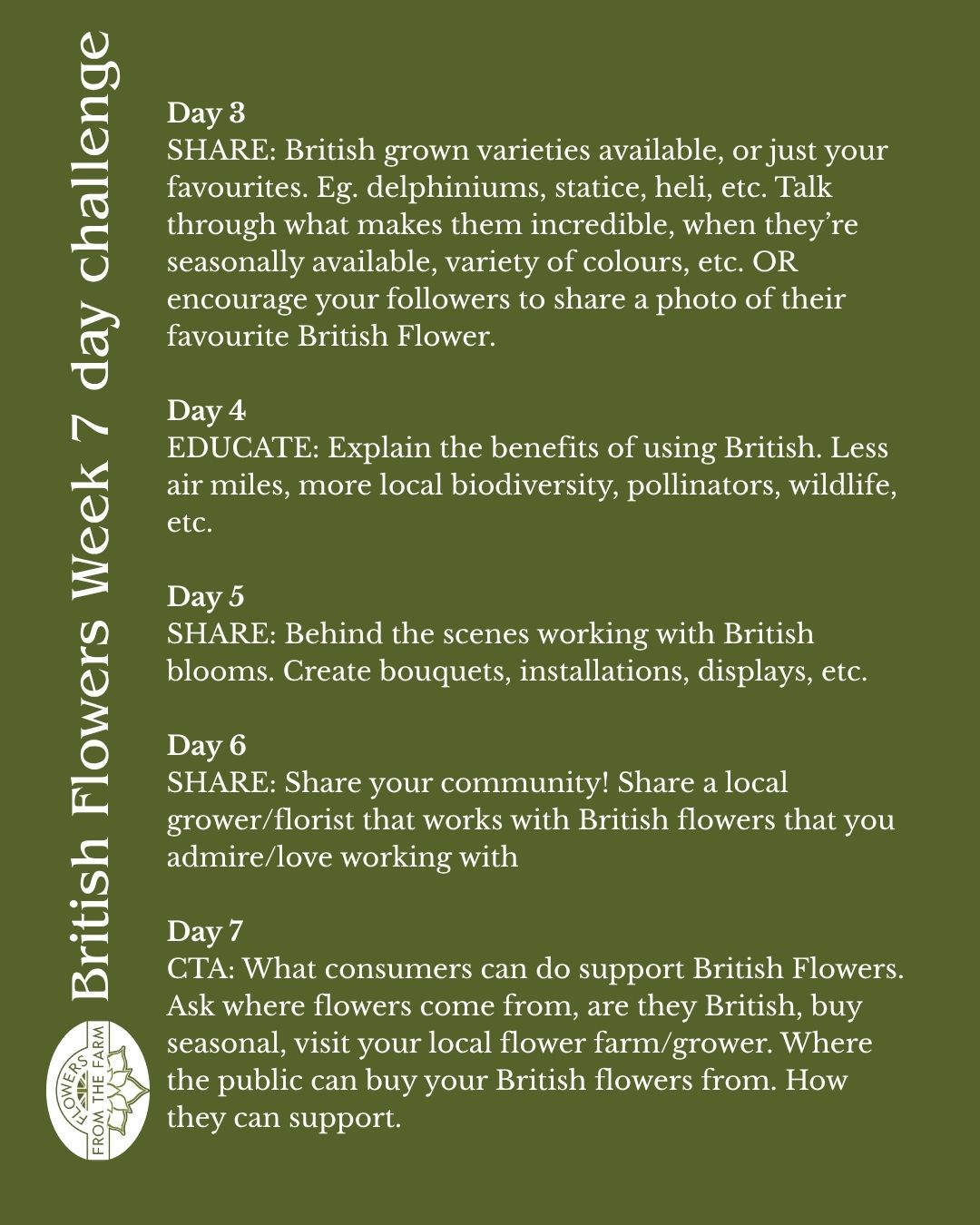 BFW SM Tasks 2
