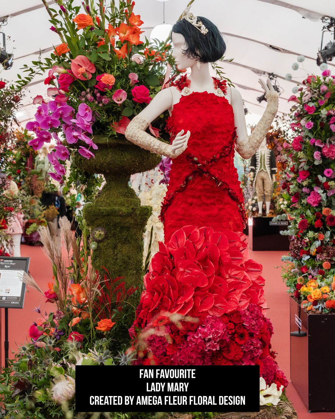 Fan Favourite Amega Fleur