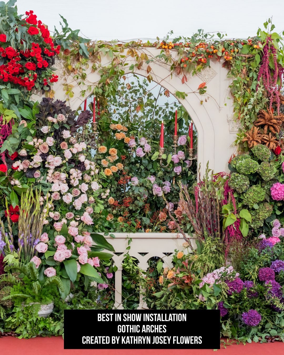 best installation kat josey