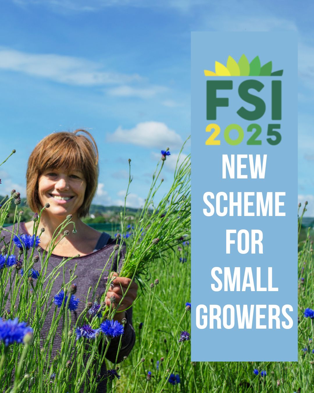 New certification for small-scale growers