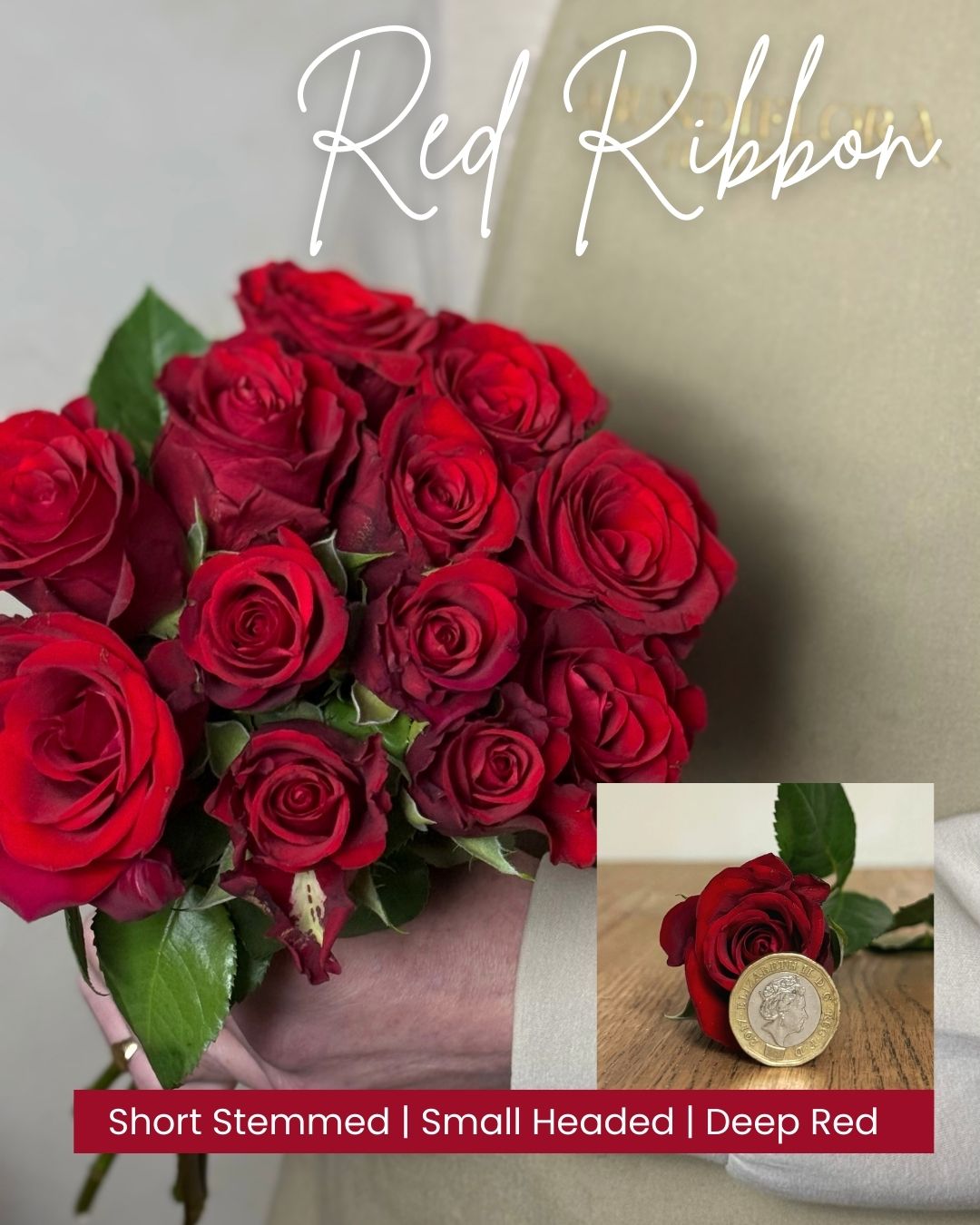 1 Red Ribbon Head and bunch