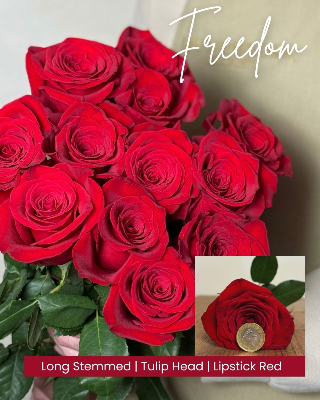 2 Freedom Head and bunch