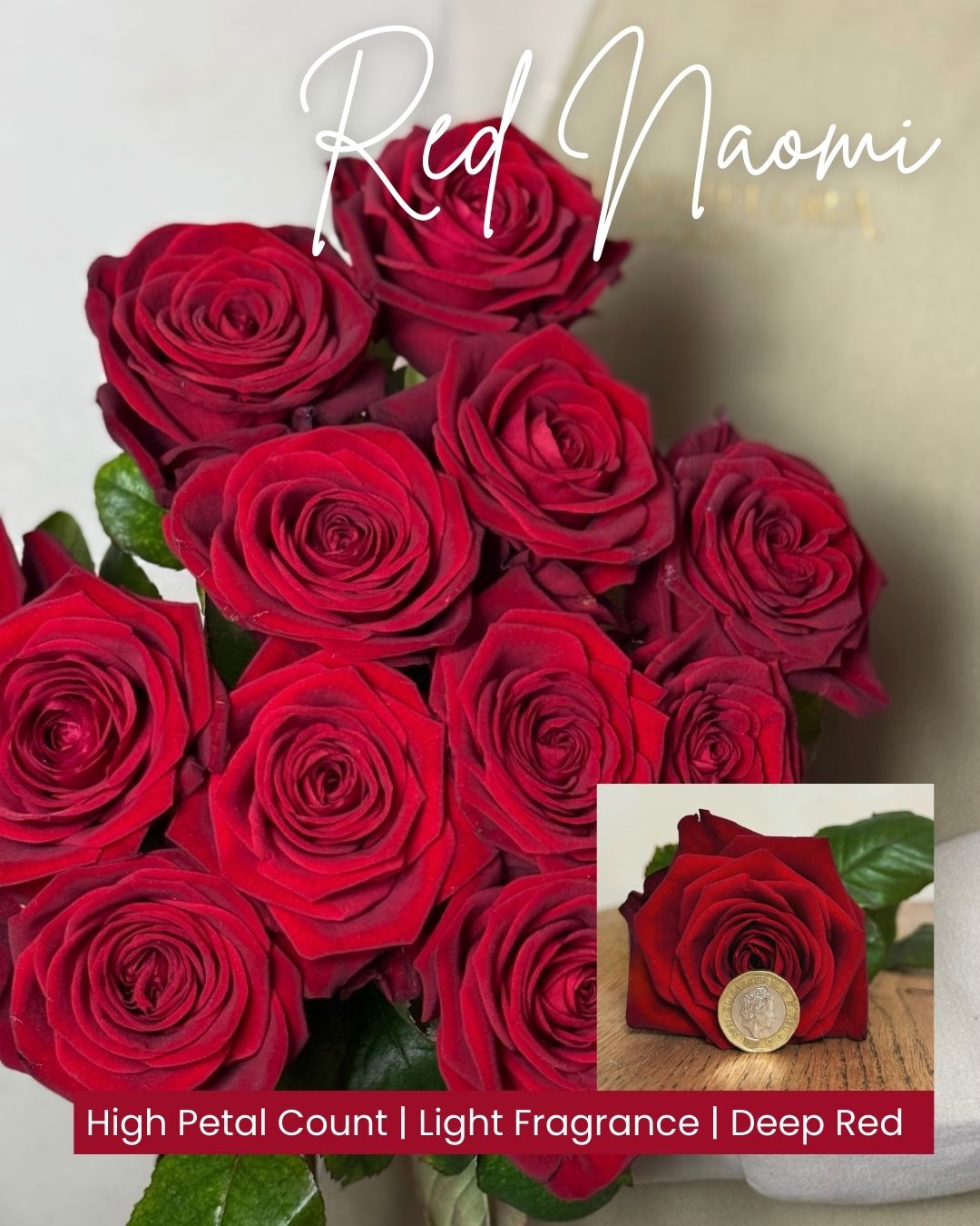 3 Red Naomi Head and bunch