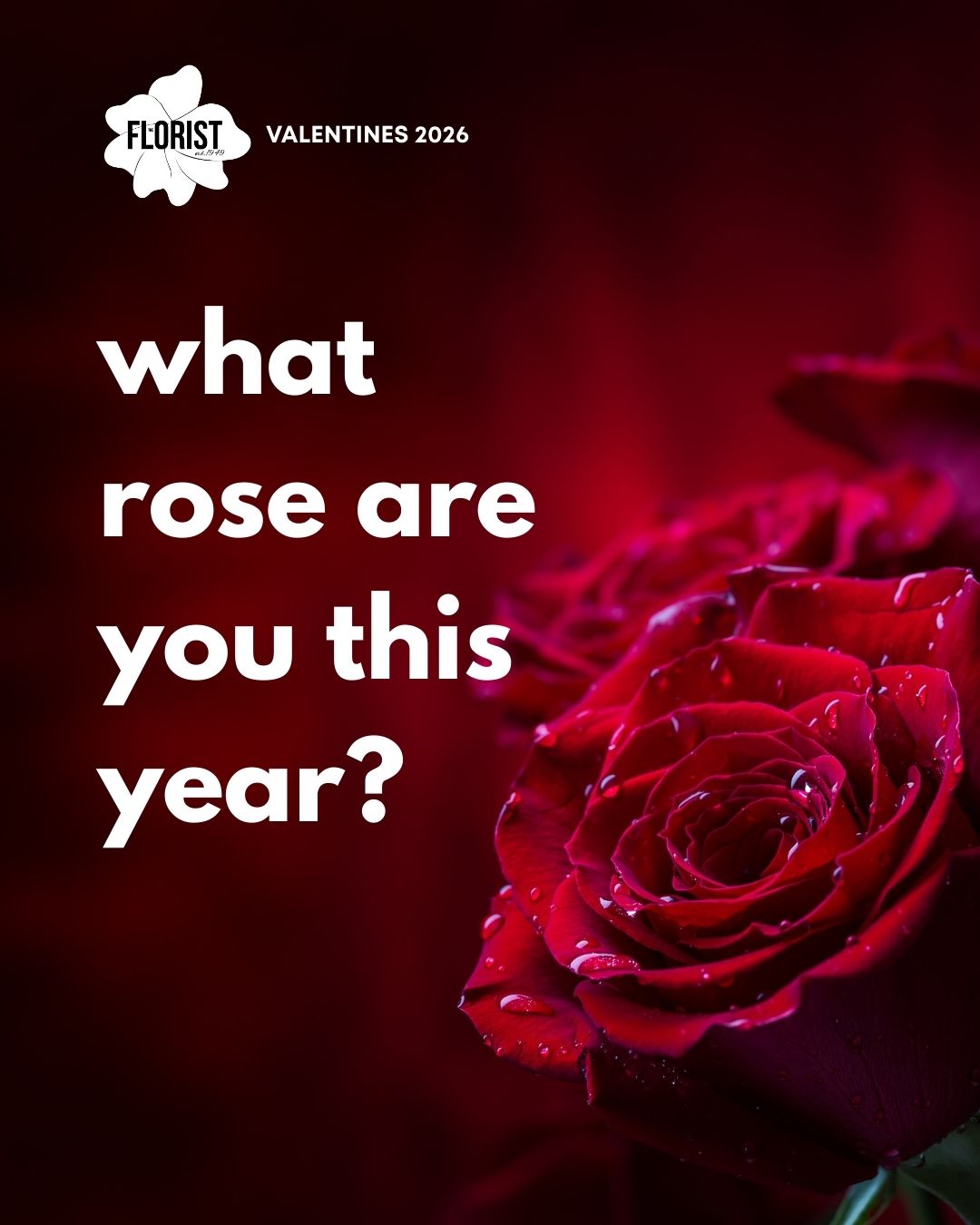 Which rose are you and why size matters?