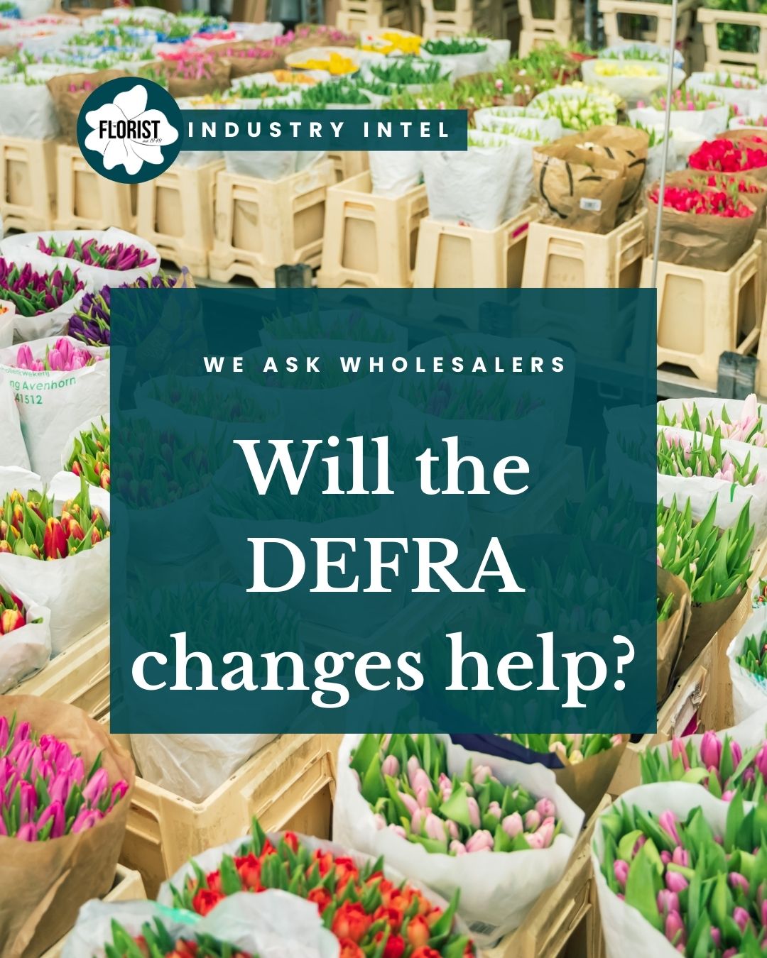 Leading suppliers respond to latest news