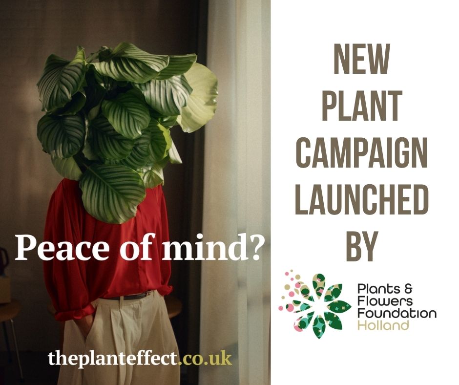 Plants & Flowers Foundation launch 'Feel the Plant Effect' campaign
