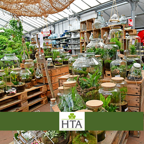 Garden Centre association calls for lockdown clarity