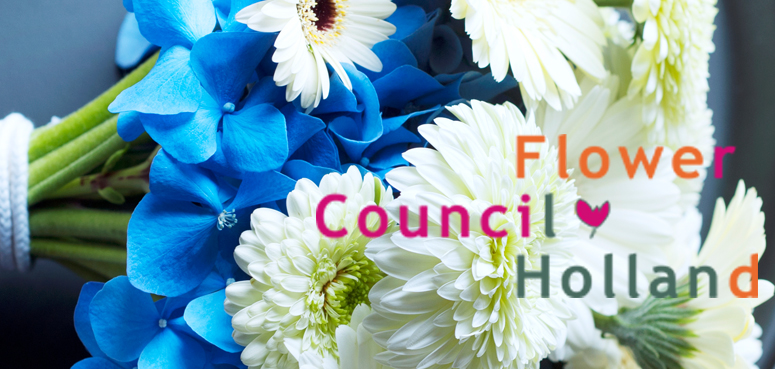 Flower Council reduced budget means re-invention