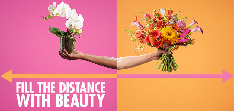 Major new PR campaign from Flower Council
