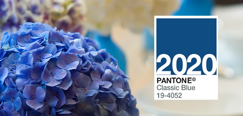 Pantone announces 2020 Colour of the Year
