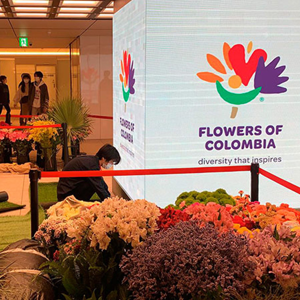 Colombia pays tribute to Japan
